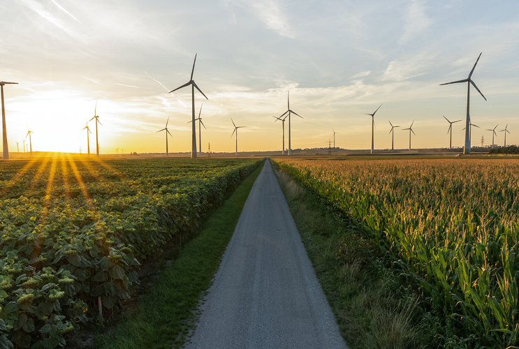 A country lane leads into the dusk. In the background, wind turbines turn in the setting sun.